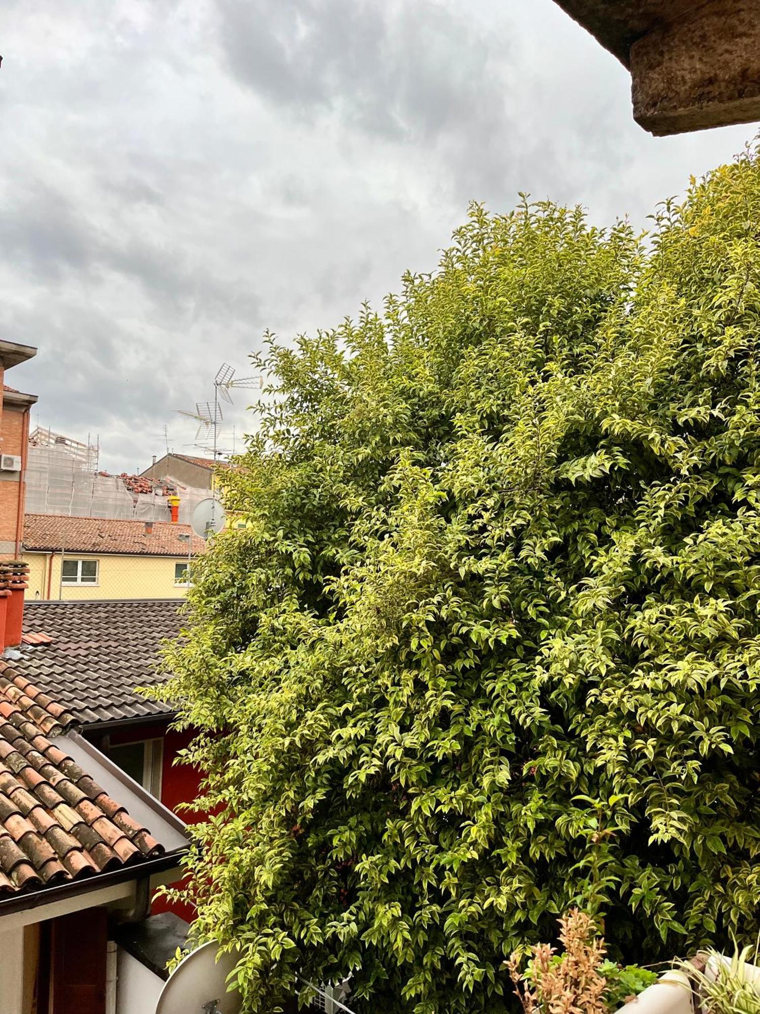 San Bernardino Monolocale Con Balcone Διαμέρισμα Βερόνα Εξωτερικό φωτογραφία